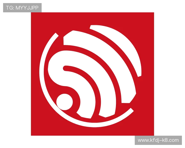 K8视迅官网安全设置与隐私保护指南，确保您的监控数据安全无忧