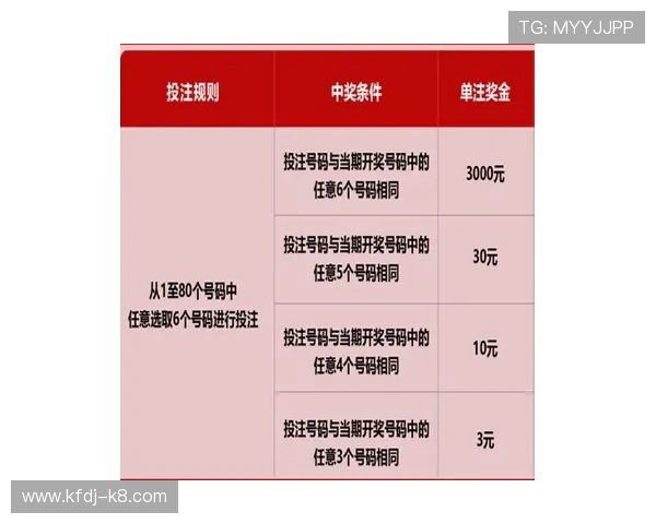 全面解析凯发彩票官网的注册流程与账号安全保障措施让你无忧游戏体验 全面解析凯发彩票官网的注册流程与账号安全保障措施让你无忧游戏体验