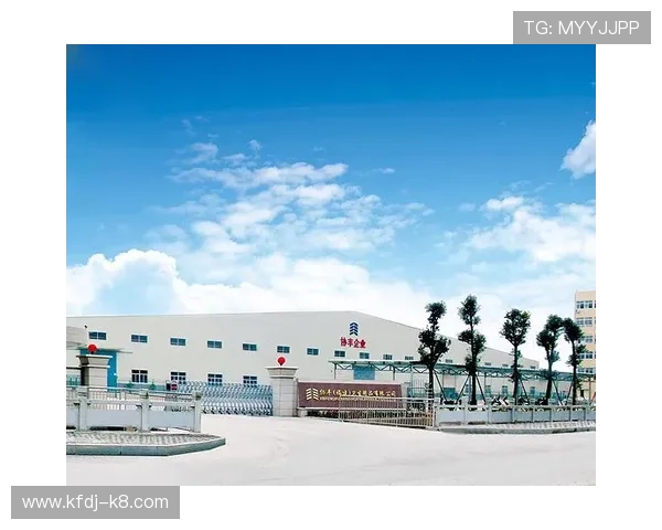 凯发集团官网首页网址官方入口地址,确保安全访问官网的详细步骤 凯发集团官网首页网址官方入口地址,确保安全访问官网的详细步骤